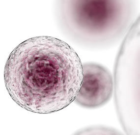 Immunotherapy for Colorectal Cancer